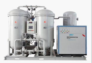 50立方變壓吸附制氮機 高效節(jié)能的工業(yè)氣體解決方案