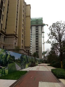 金輝上東區(qū)·金輝公園里項(xiàng)目房屋質(zhì)量問(wèn)題亟待解決